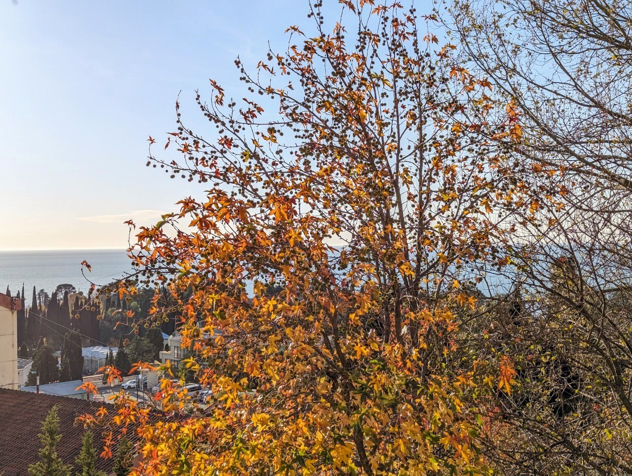 Апартамент "Люкс семейный" в Пушкин НеоЛит