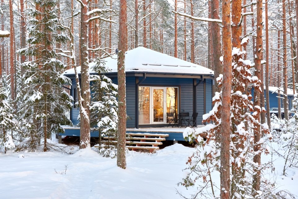 Коттедж - "Форест-студия" в Окунёвая