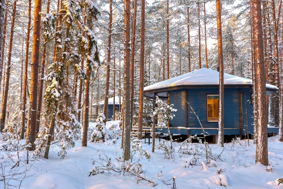 Коттедж - "Форест-студия" в Окунёвая