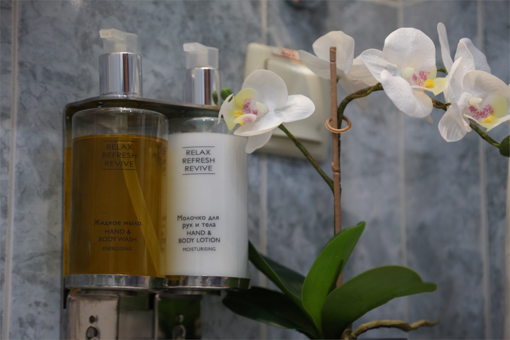 Комфорт  / Главный корпус в Десна