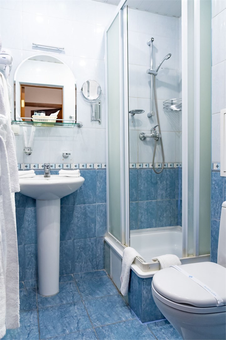 Стандарт / Главный корпус в Десна