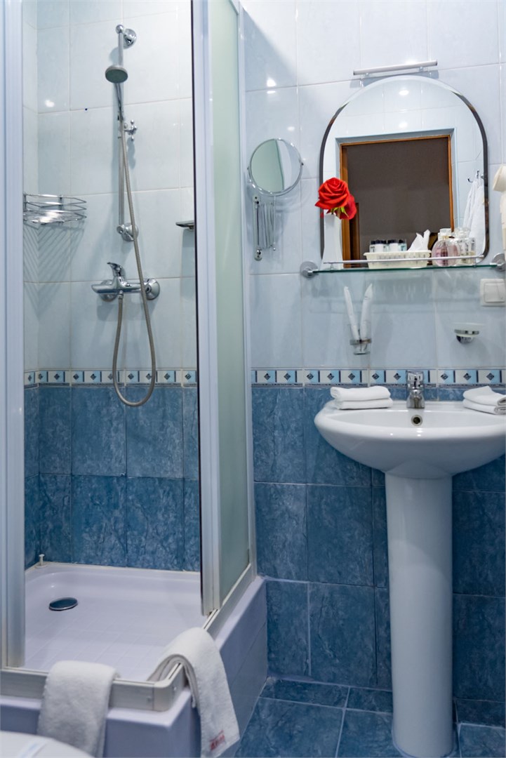 Полулюкс / Главный корпус в Десна