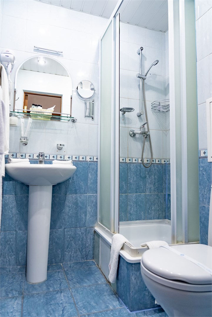 Полулюкс / Главный корпус в Десна