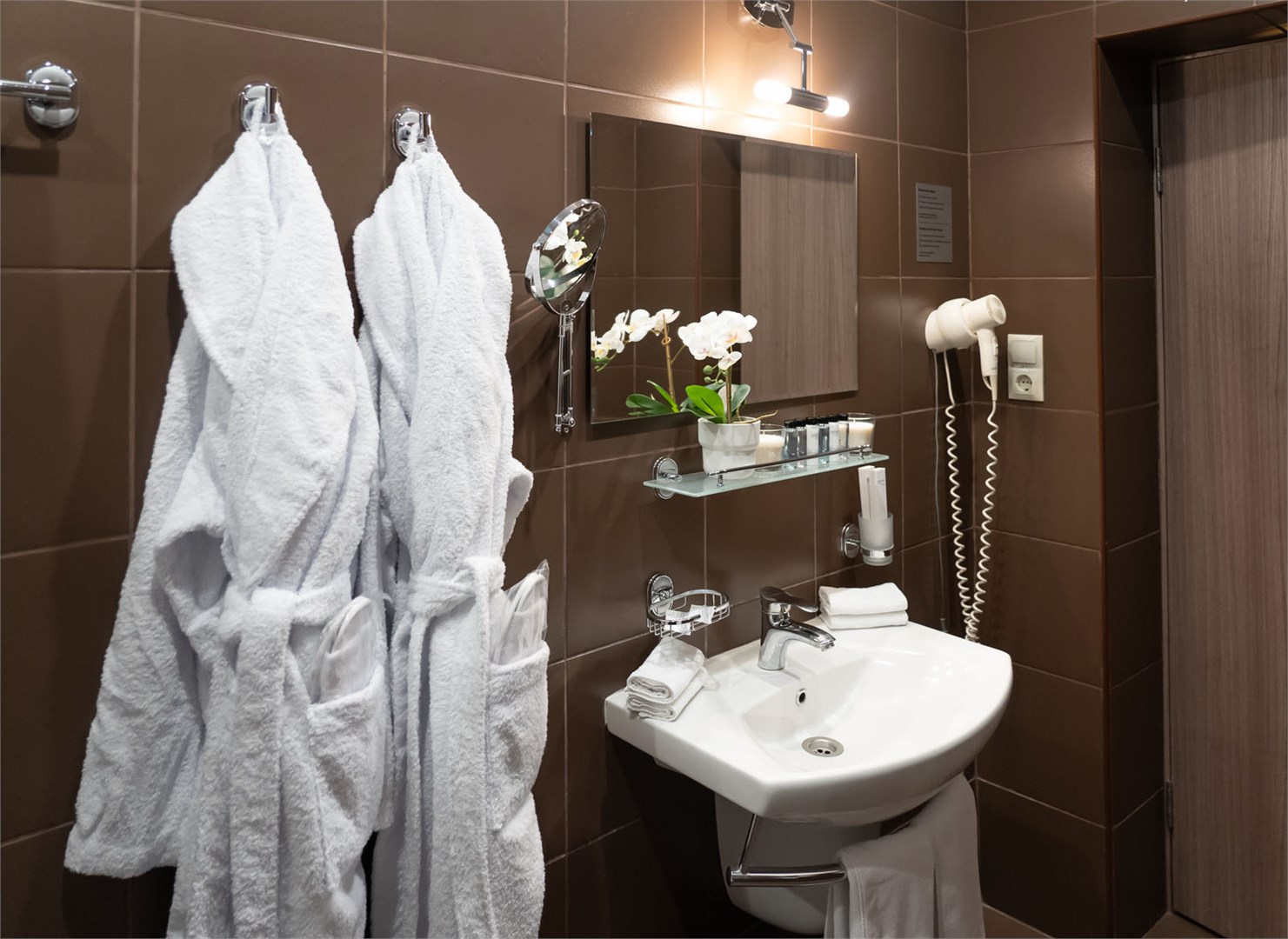 Полулюкс улучшенный / Главный корпус в Десна