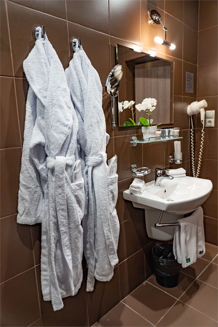 Полулюкс улучшенный / Главный корпус в Десна