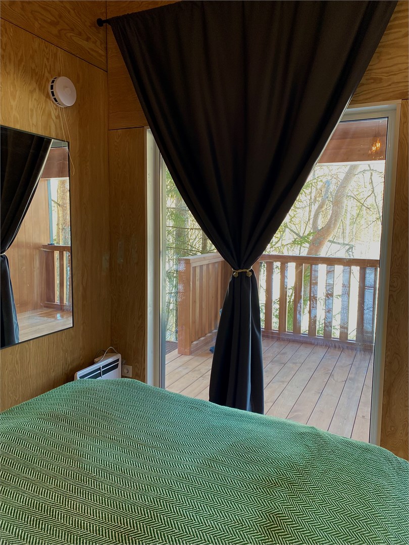 Шишки Еловые в Ключ-Камень