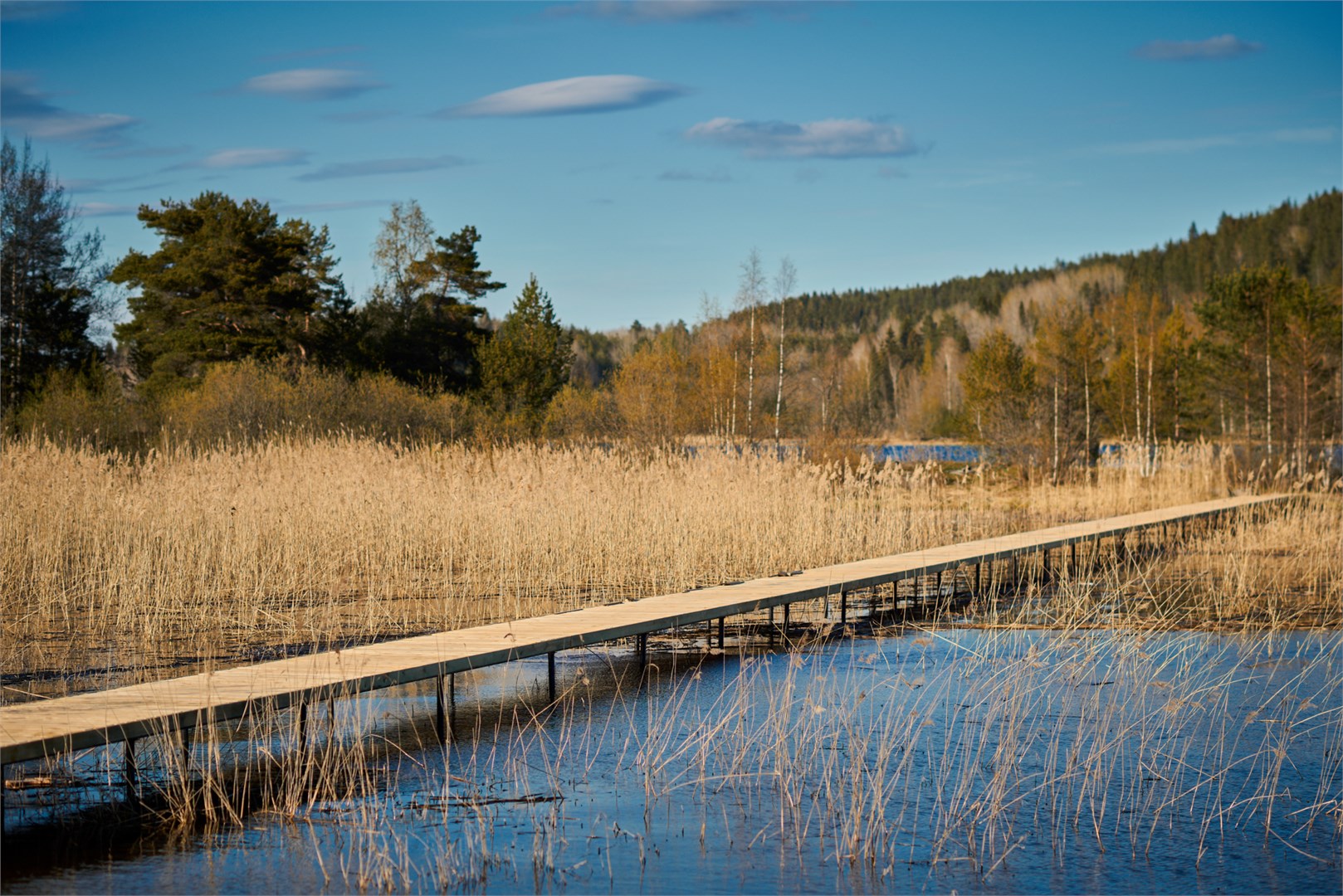 Двухместный дом на дереве с чаном (2+0) в Карелия парк
