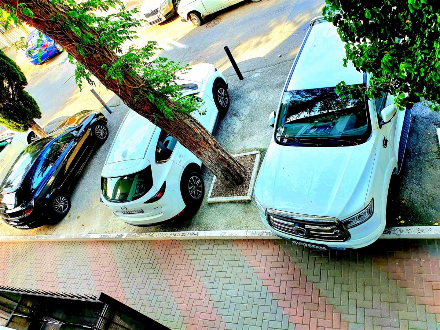 Двухместный стандарт с французским балконом в Dallas