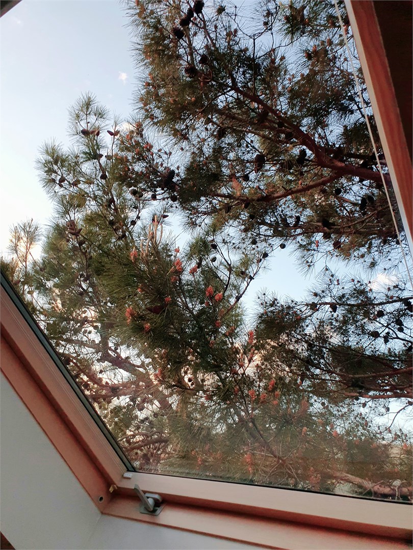 Двухкомнатные апартаменты люкс в Dallas