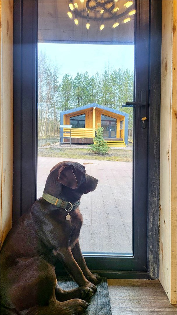 Гостевой дом "Семейный" в Тишь да камыш