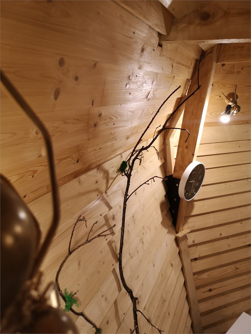 Домик Эльфа в Фэнтези