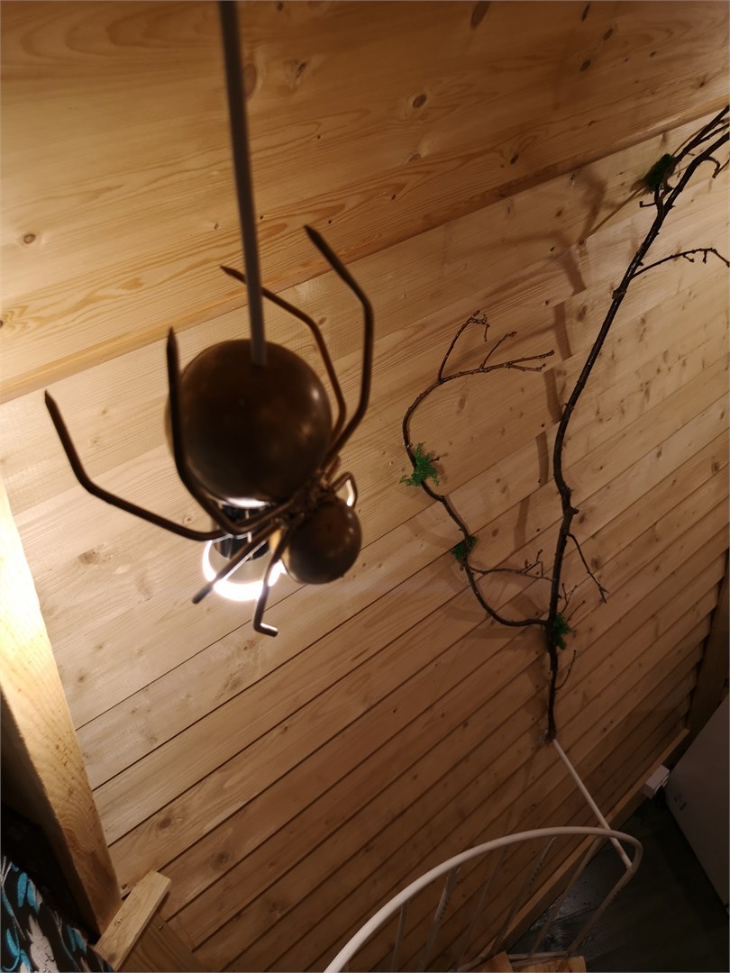 Домик Эльфа в Фэнтези