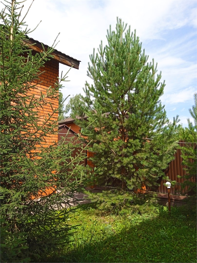 КОТТЕДЖ в Дарина