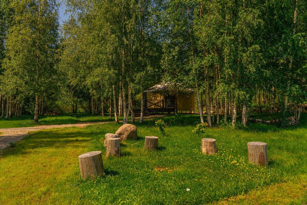 Юрта в Тишь да камыш