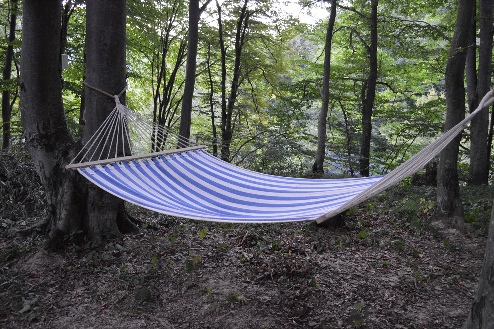 Домик на дереве в Кобан СПА