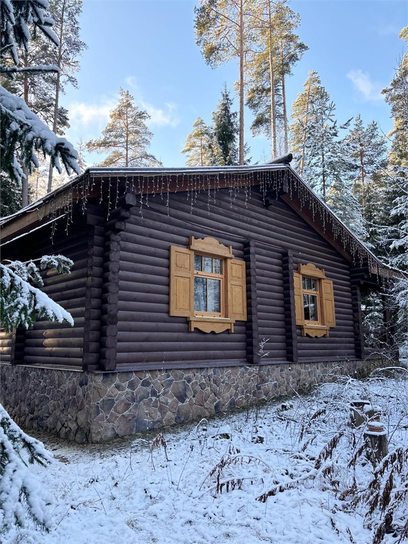 Русская деревня, одноэтажный дом в Шишки на Лампушке