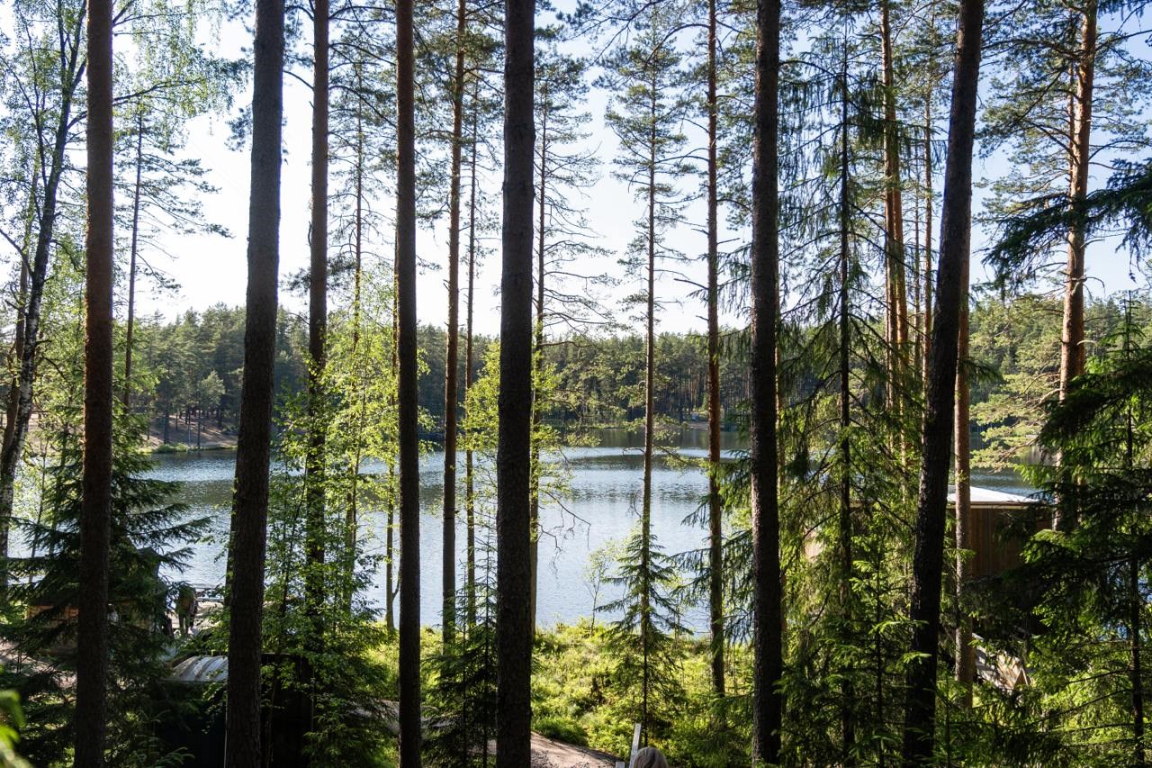 Глемпинг у озера (от 14 лет) в Шишки на Лампушке