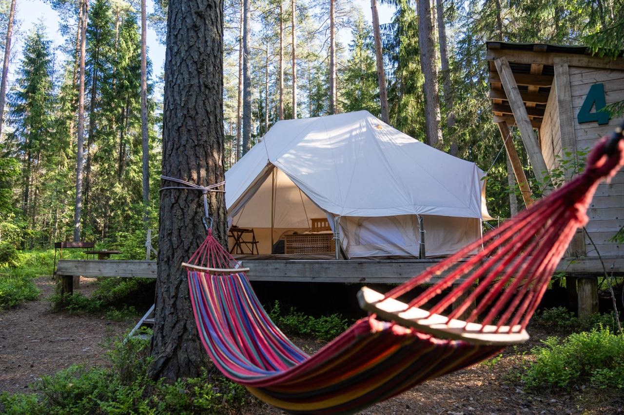 Глемпинг в лесу (от 14 лет) в Шишки на Лампушке