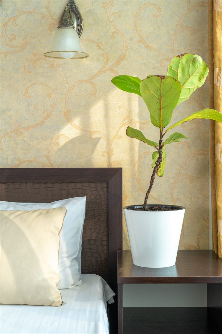 Делюкс без балкона (на 1-этаже) в Helas