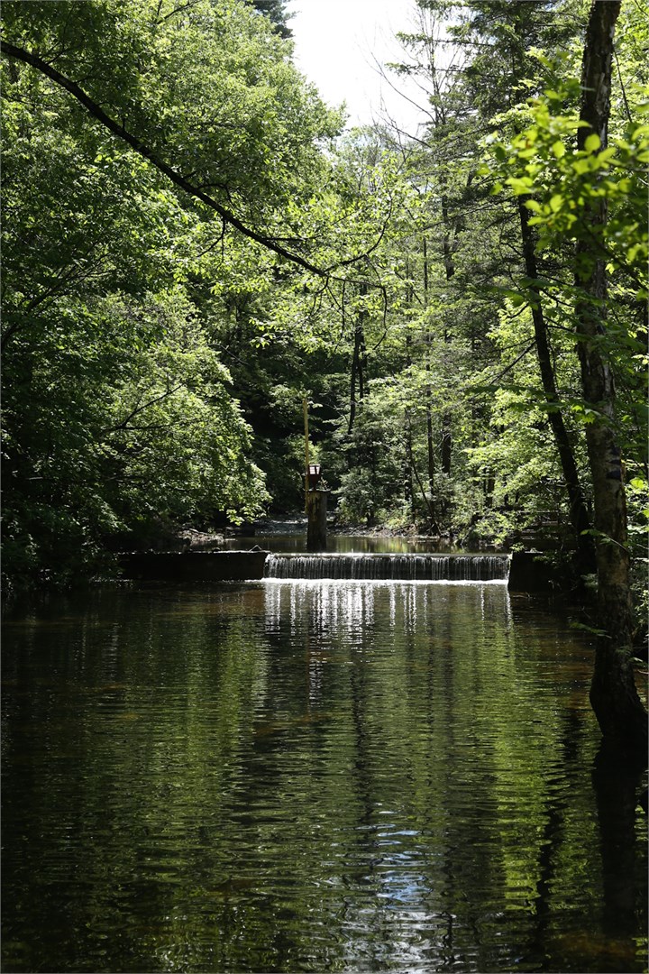 Трехместные домики в Времена года