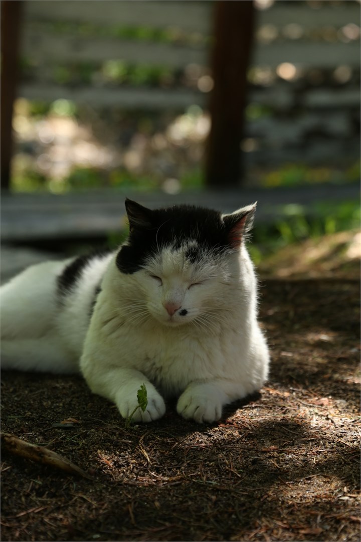 Дом "Шале" на 6-10 человек в Времена года
