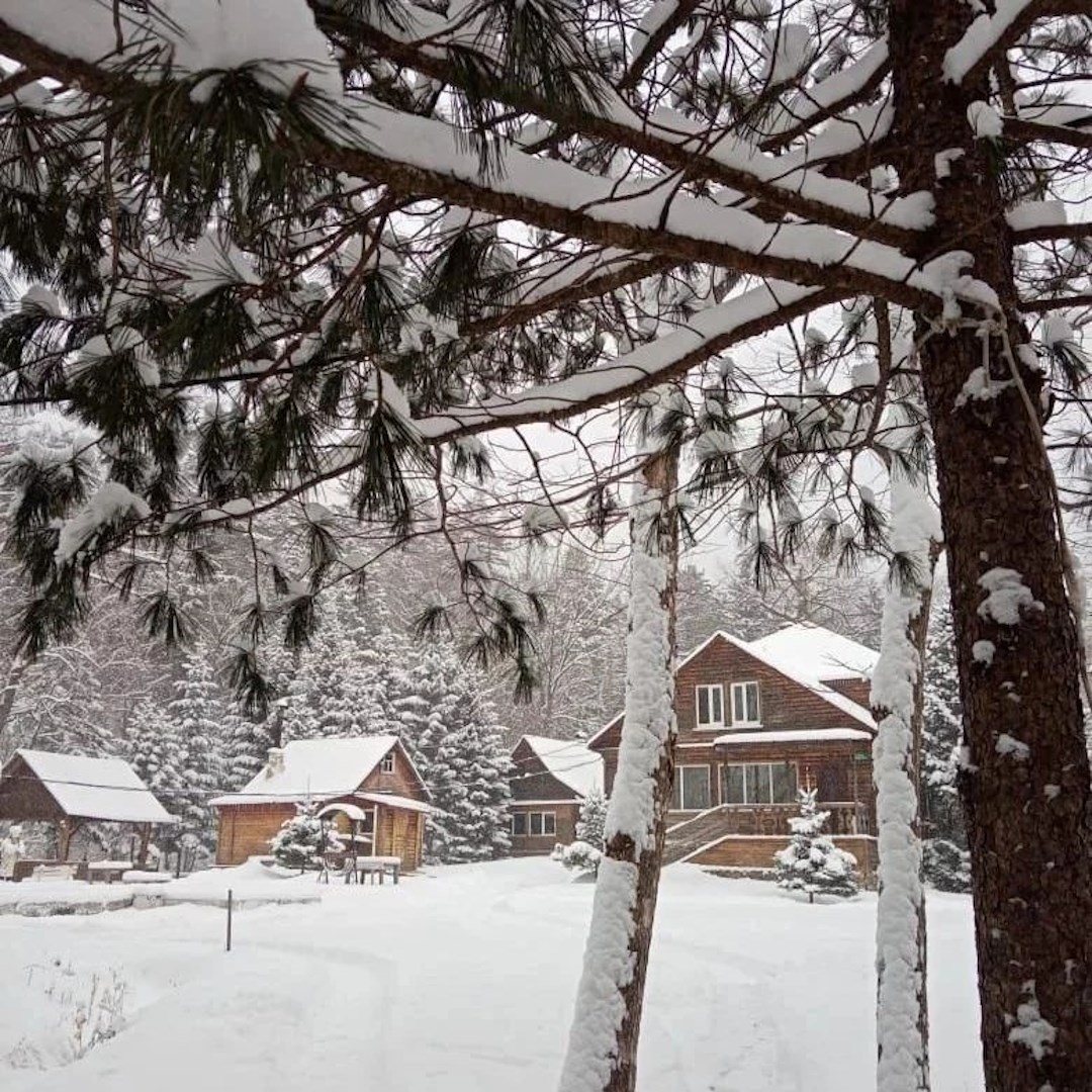 Четырехместный номер в Времена года