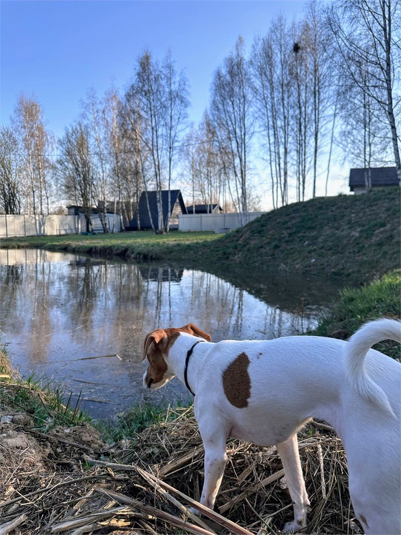 БОХО в Берёзовка