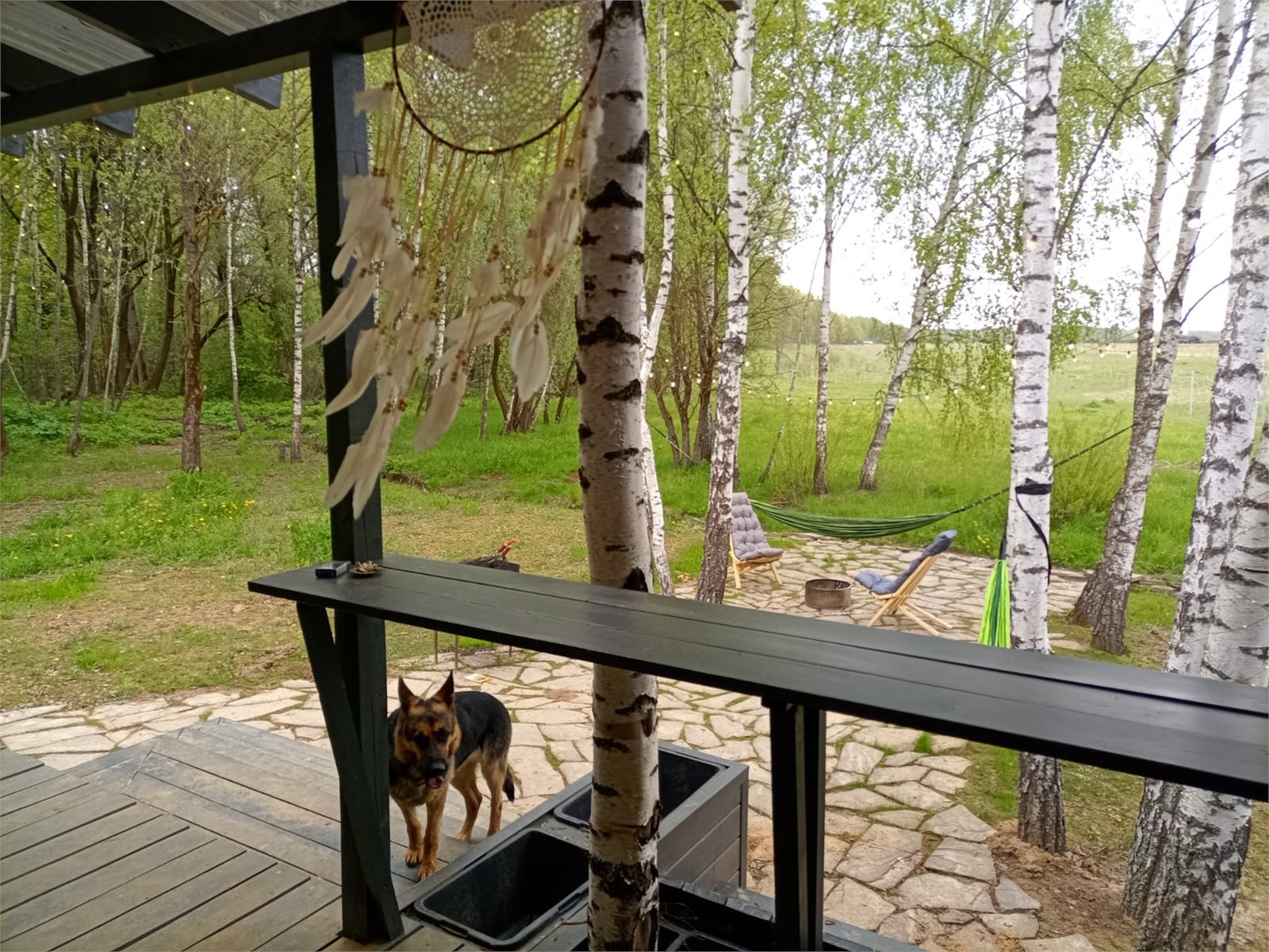 БОХО в Берёзовка