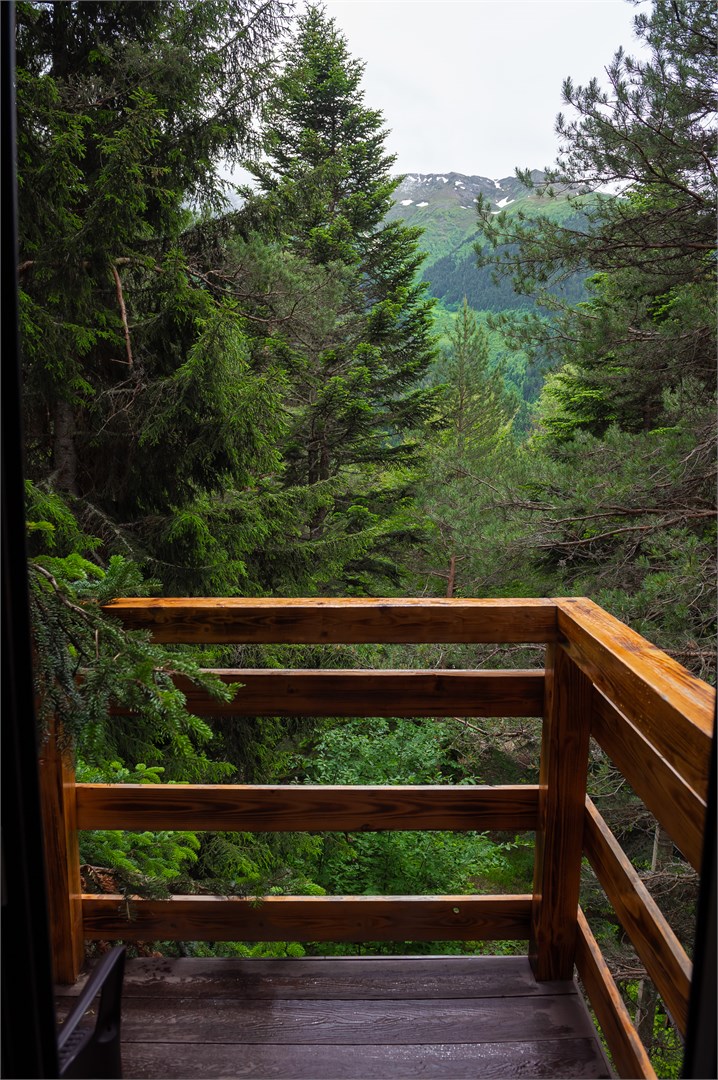 Комфорт с балконом от 2х до 4х мест в Гринвальд 1474