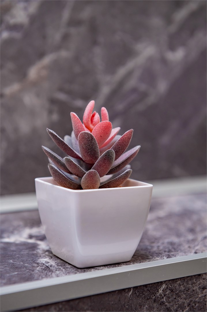 Комфорт без балкона от 2х до 4х мест в Гринвальд 1474