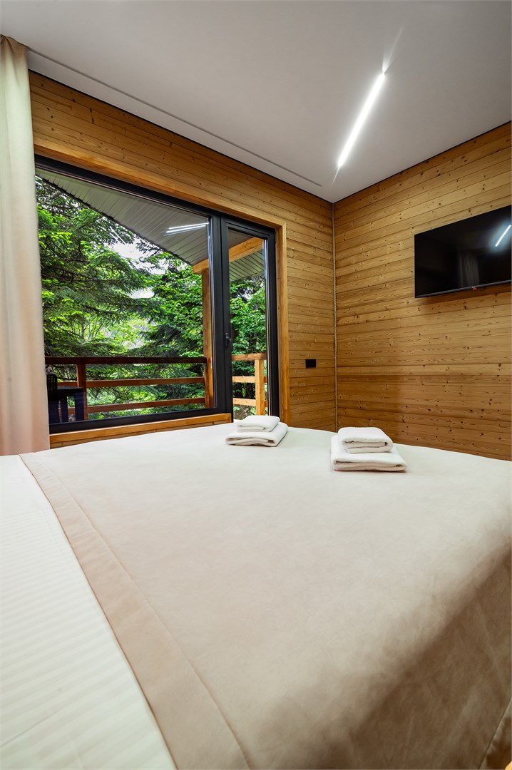 Люкс в Гринвальд 1474