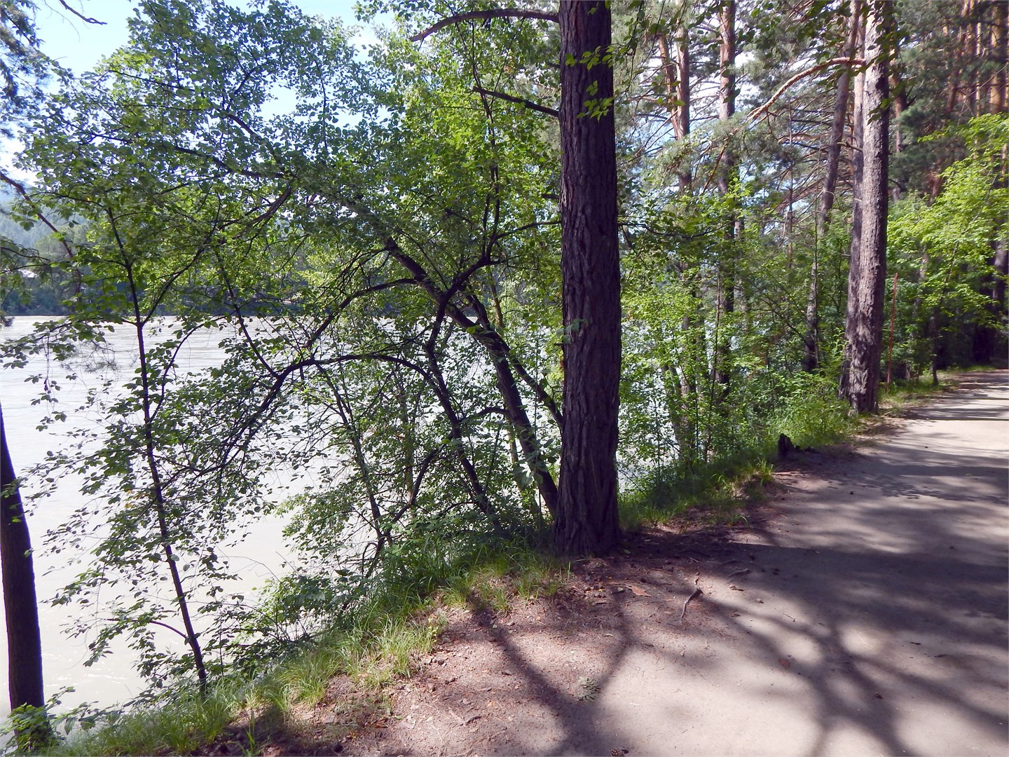 СТ + (Стандарт с двумя кроватями, балконом и видом на реку) в Алтан