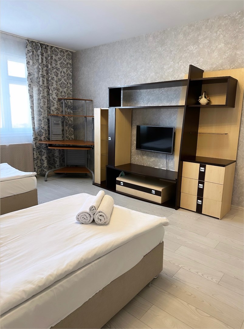 Апартаменты на Подшибякина 46 А однокомнатная в На Пушкина