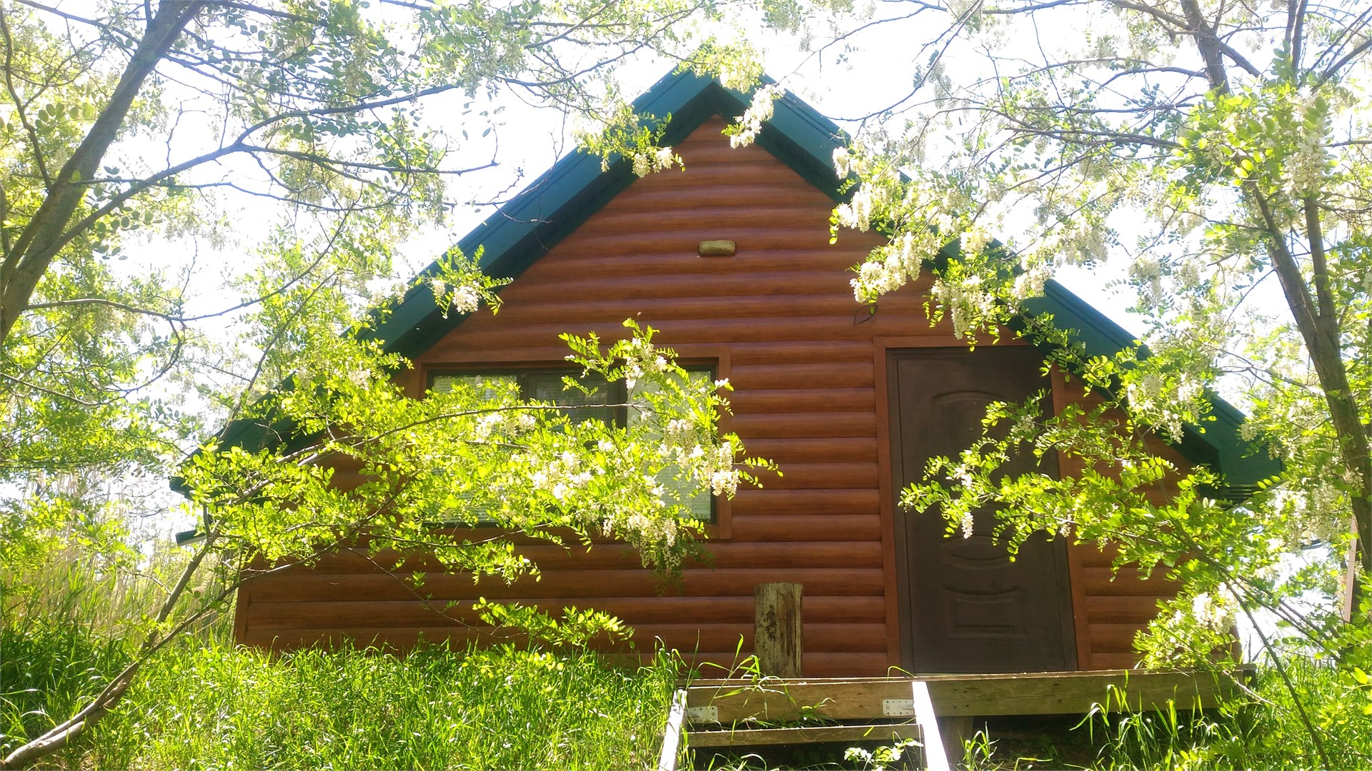 Беседка "С ЛЕЖАКОМ" + 3х местный домик в Эксклюзивная рыбалка