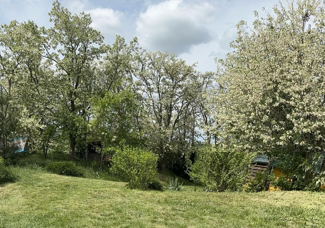 Беседка "УЮТ" в Эксклюзивная рыбалка