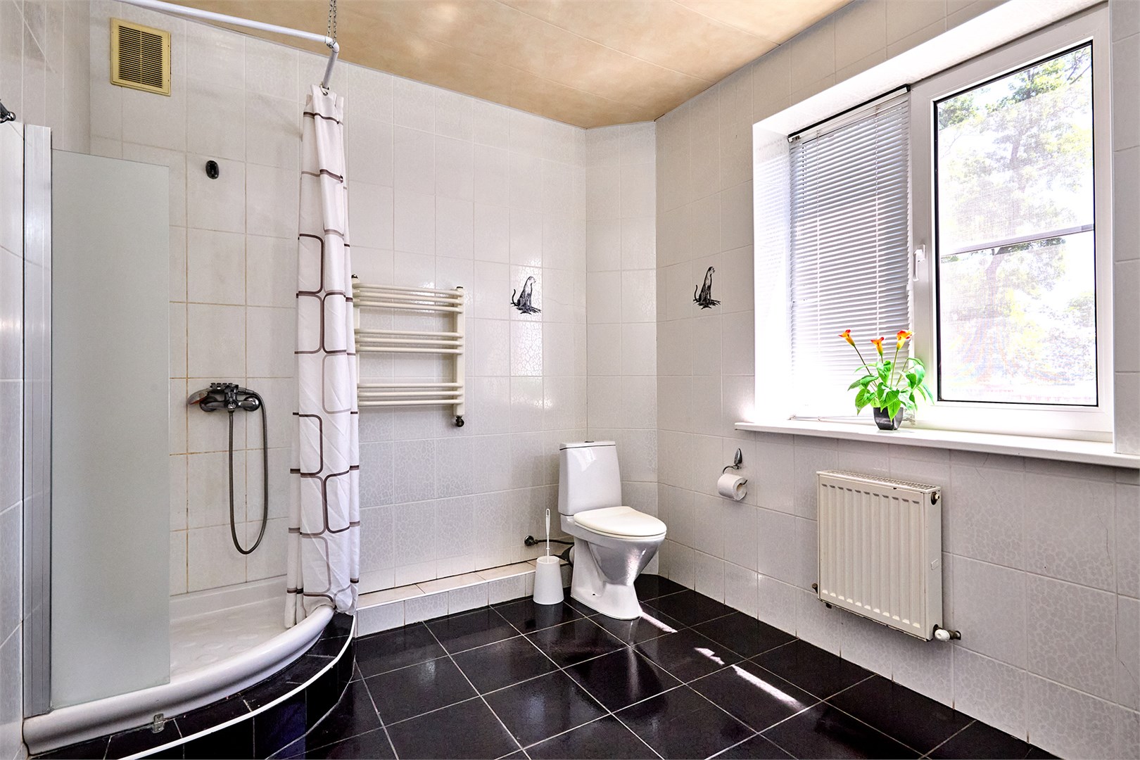 ЭКОНОМ 3-Х МЕСТНЫЙ в Солнечный