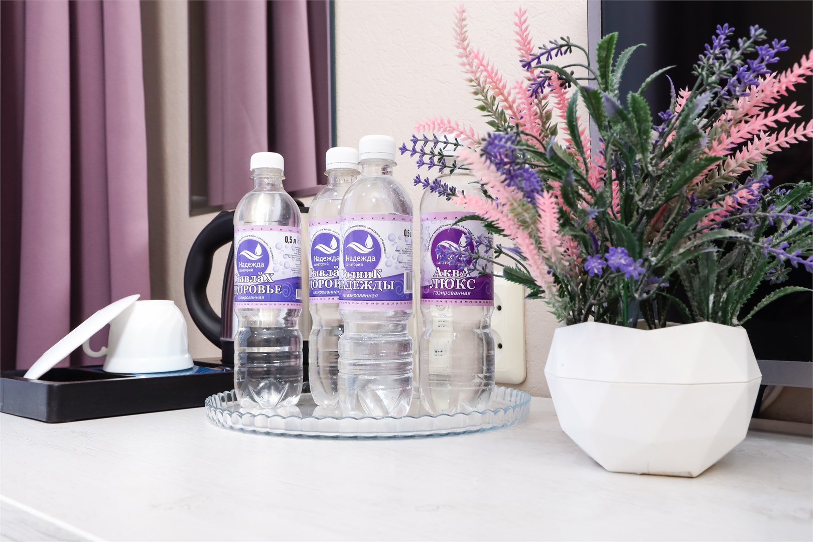 Главный корпус 1-комнатный 1-местный номер в Надежда