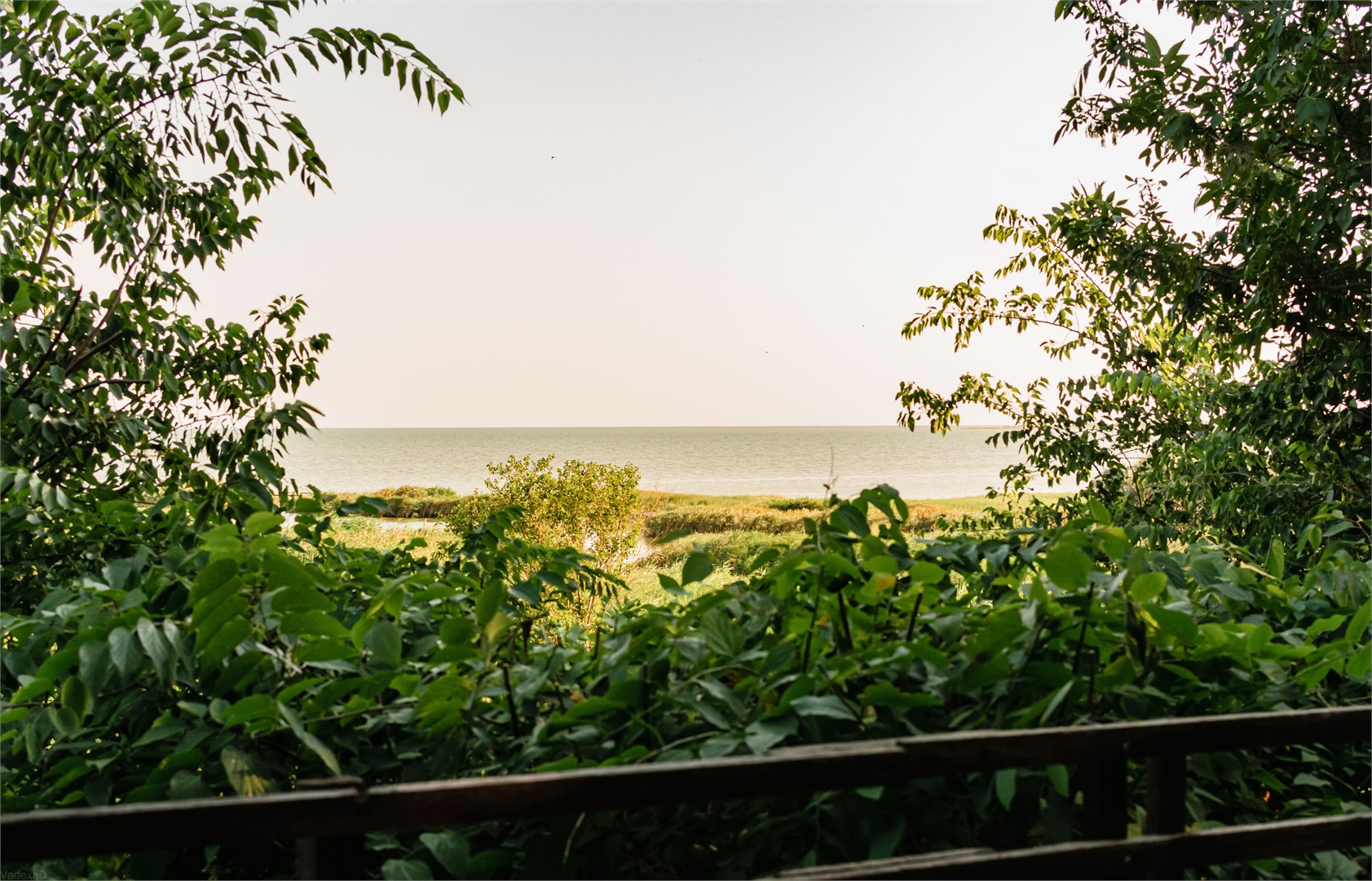 Номер "Любовь" в Панорама