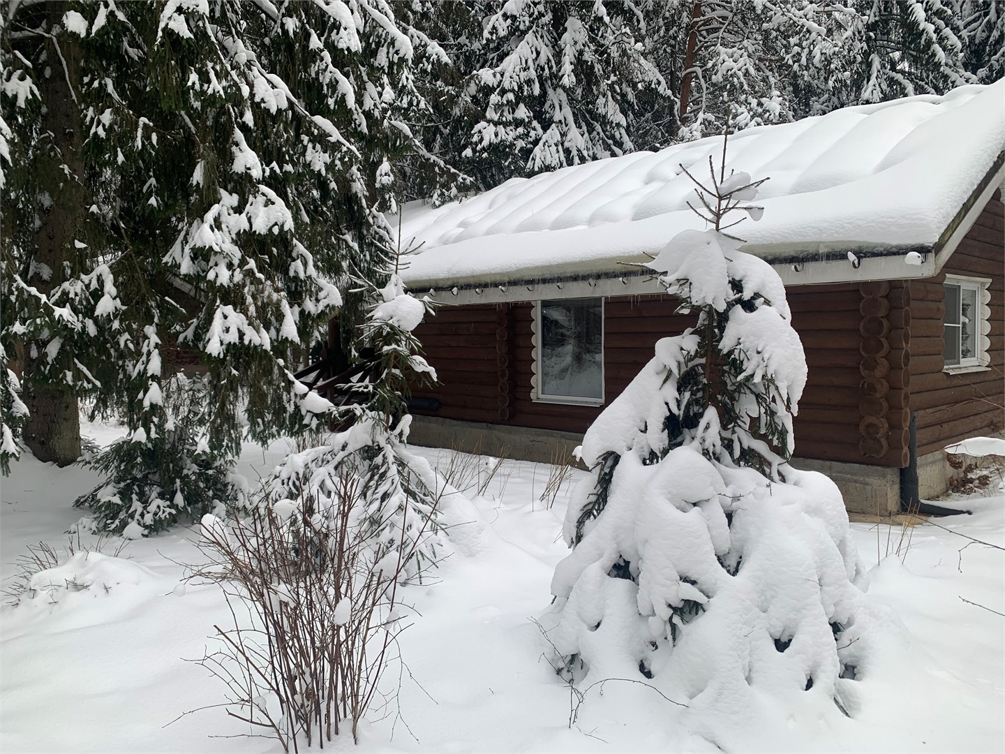 Изба "Боярская" в Green forest ecoclub