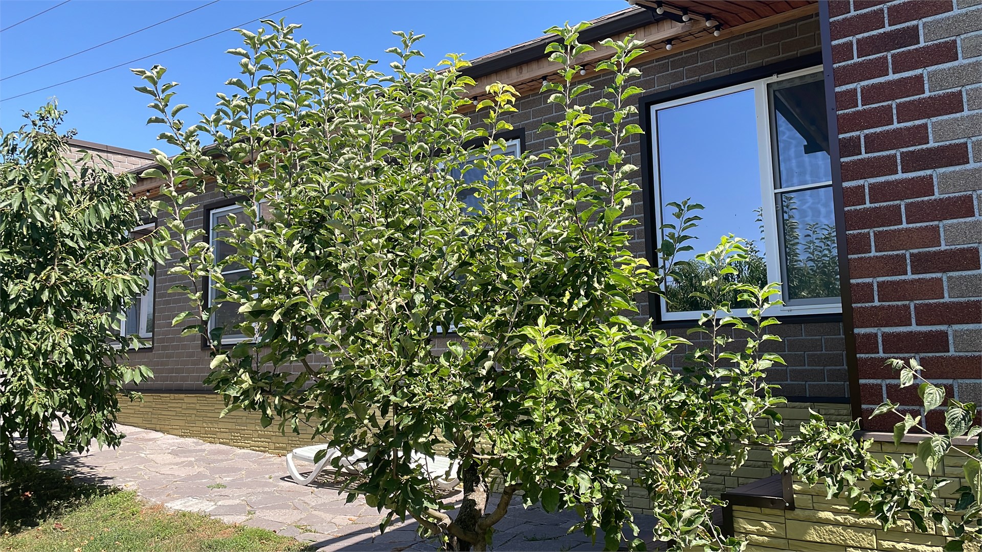 София двухкомнатные апартаменты c общим Бассейном, зоной Барбекю(отдельный домик) в Вилла с видом на горы