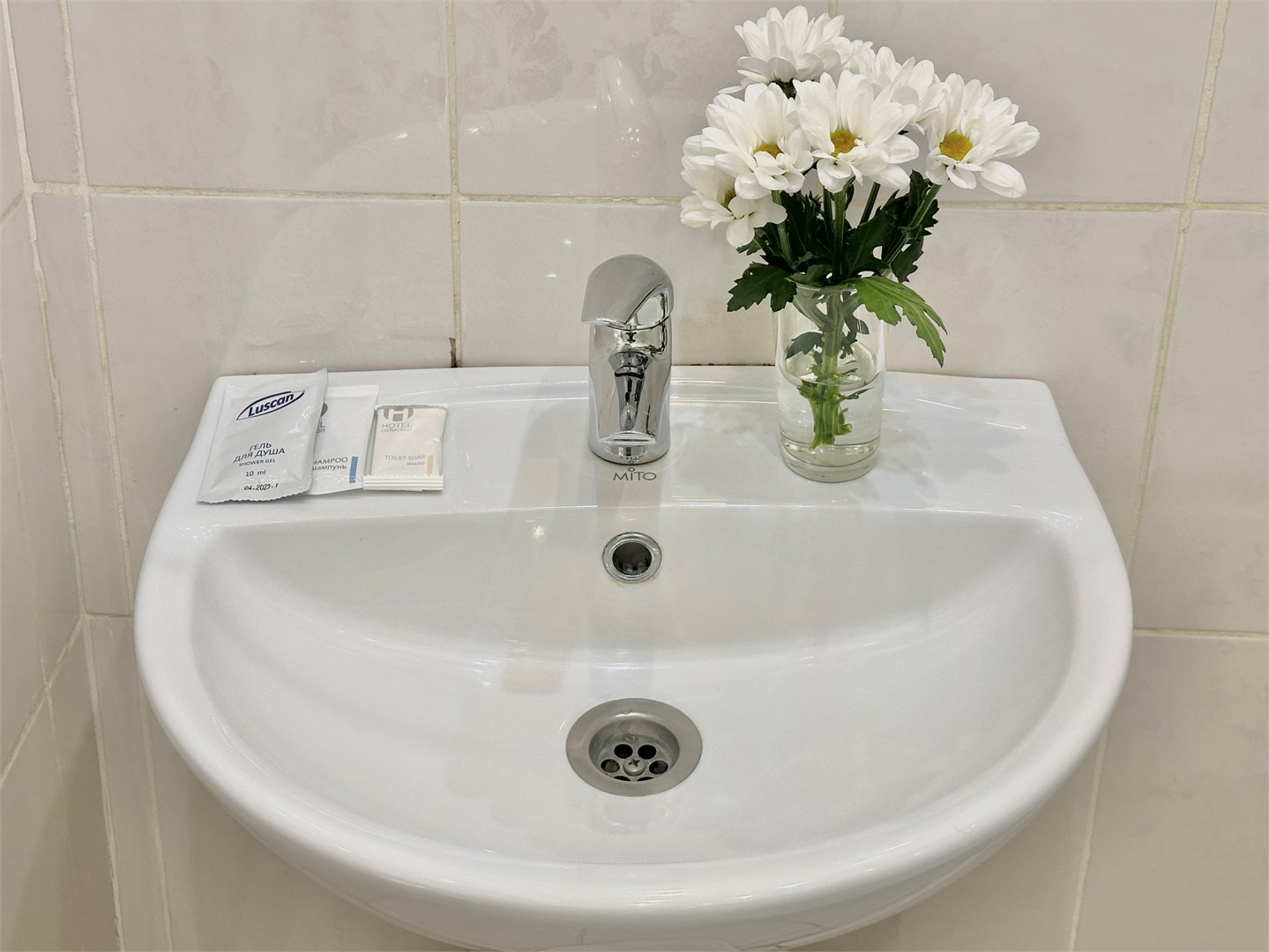 Одноместный стандарт в Элис Syncotel