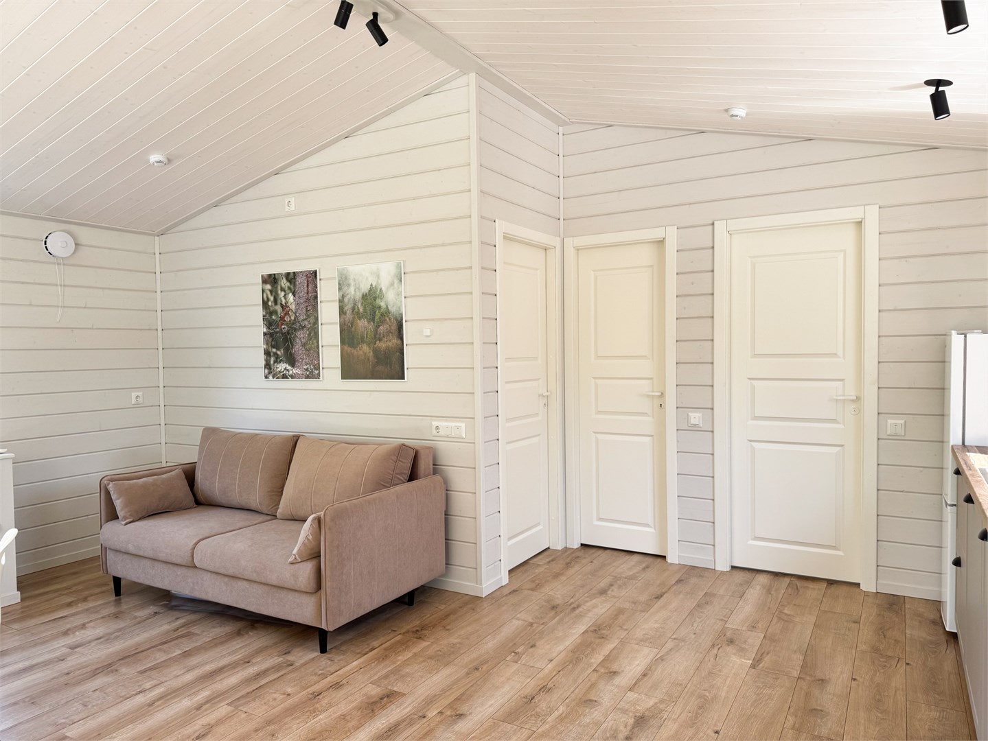 Семейный коттедж в Ивашнево