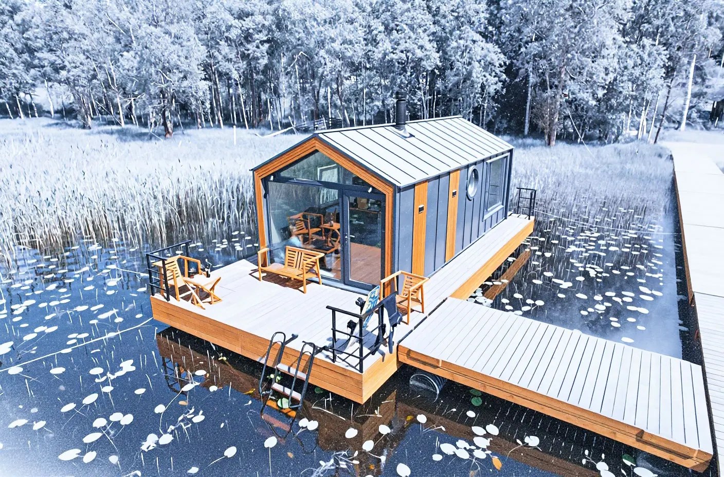 Хаусбот "Сила Свободы" 2+2 в Гостевой дом