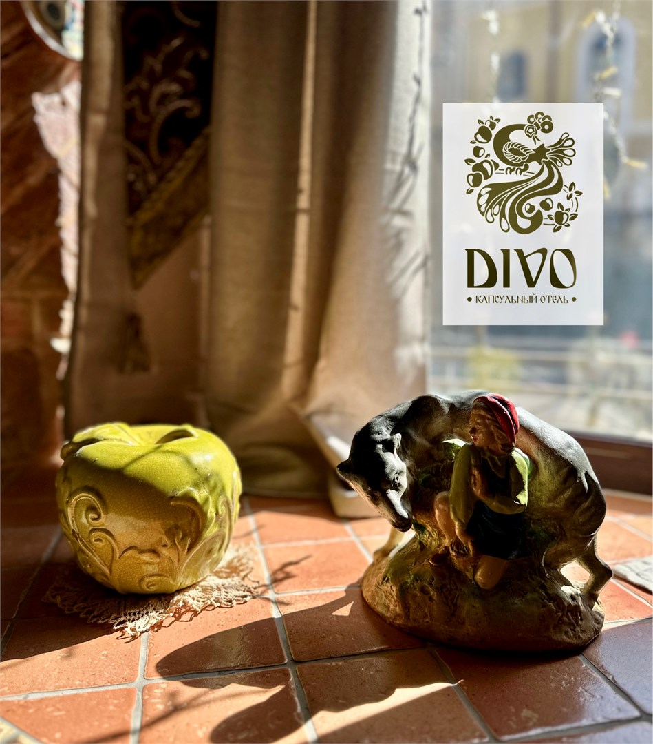 Одноместная капсула  Divo нижняя в Диво