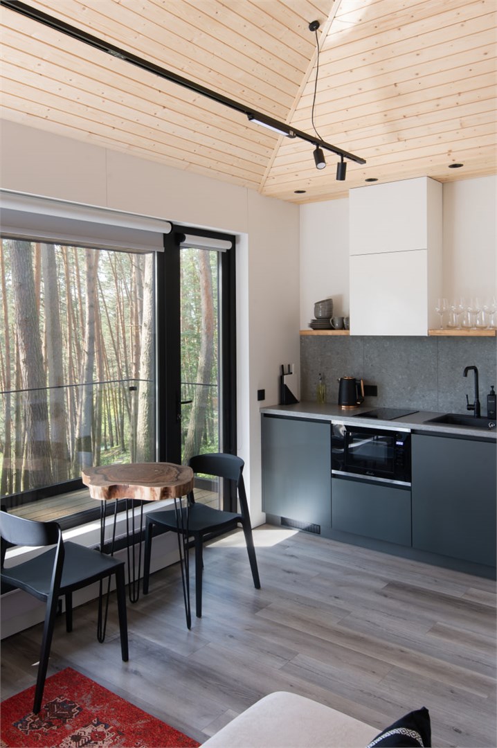 Лодж XS в Лесной Берег