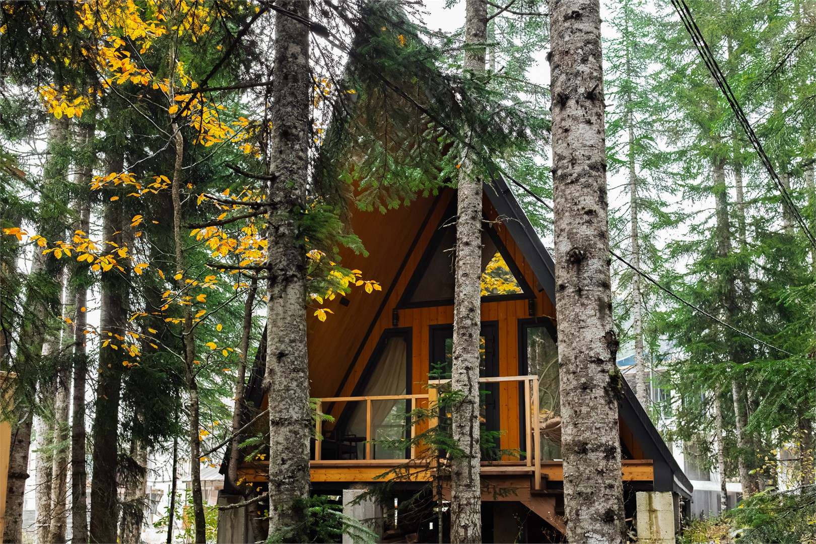 Домик A-frame лесной в Времена года Village