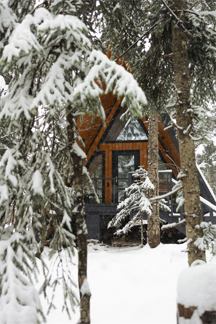 Домик A-frame лесной в Времена года Village