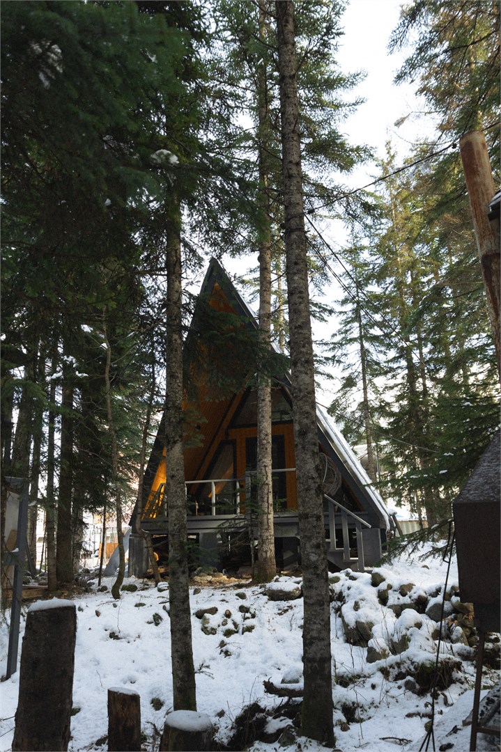 Домик A-frame лесной в Времена года Village