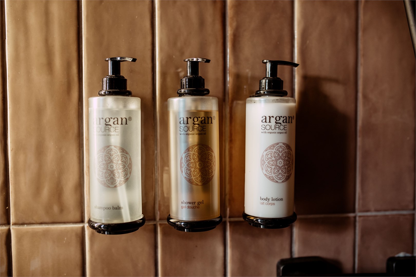 Типпи в Дзен Рекавери