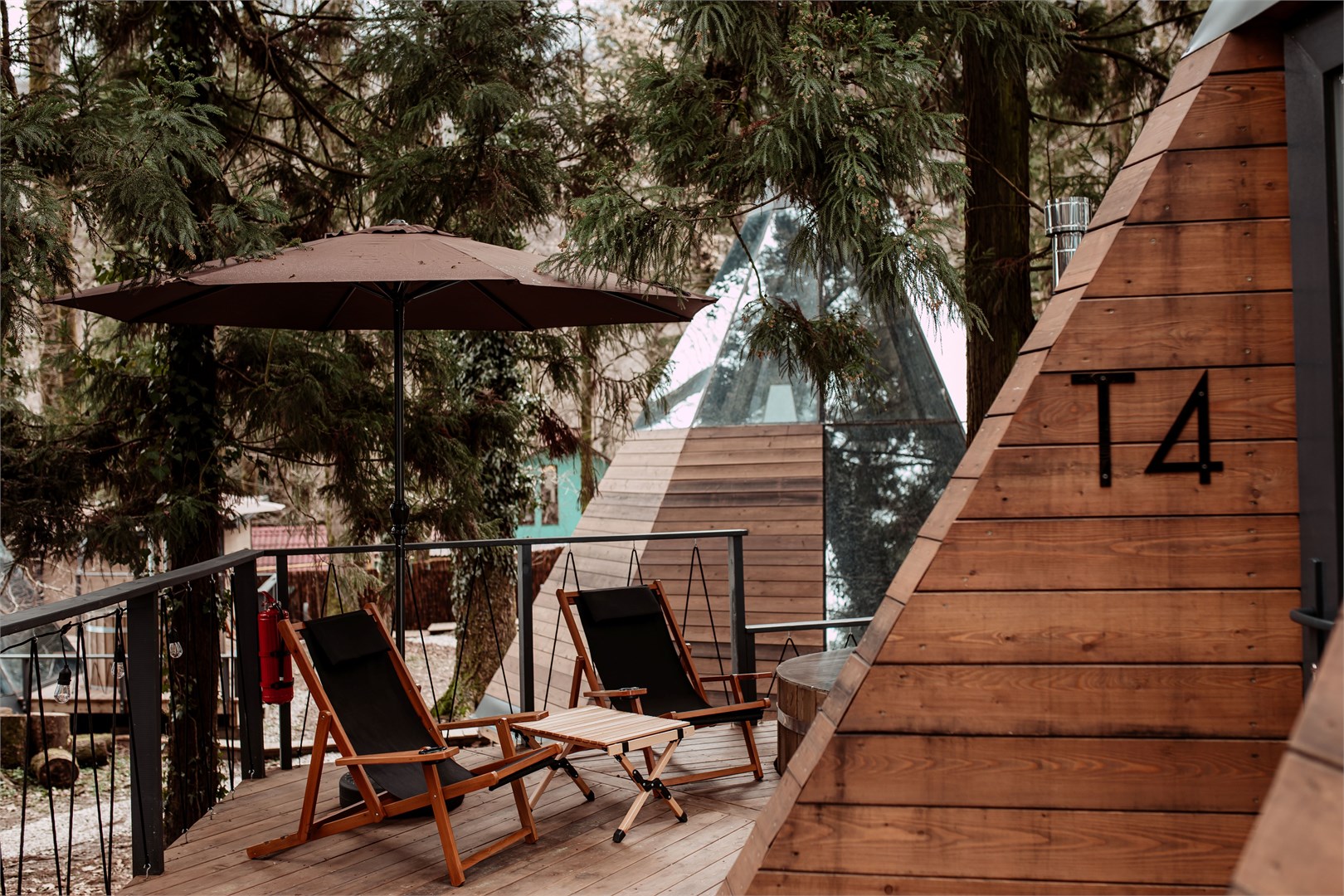 Типпи в Дзен Рекавери